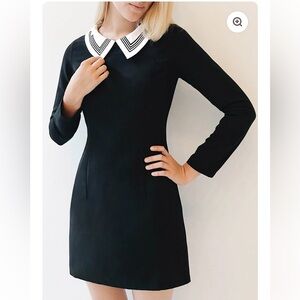 Elegant Black Dress with White Collar